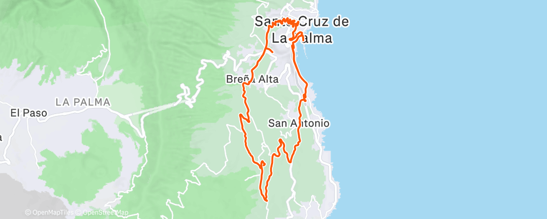 Карта физической активности (Guidung Mein Schiff 7)