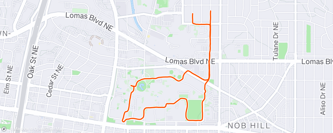 Map of the activity, Evening Run