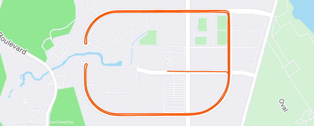 Map of the activity, Pacing the project