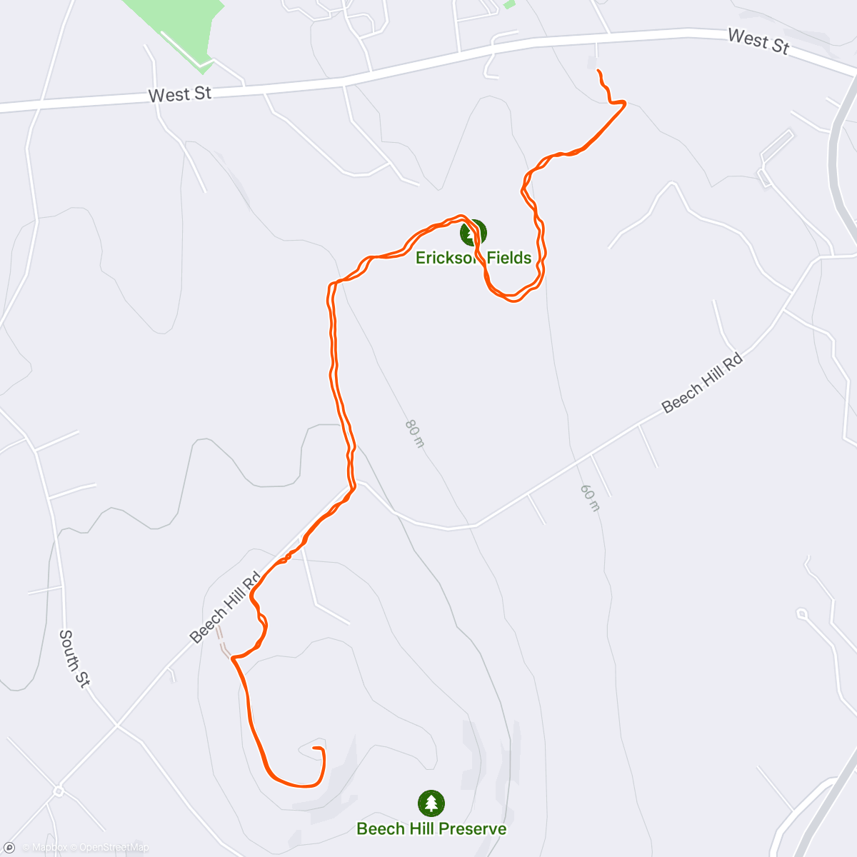 Map of the activity, Foggy Beech with the Band