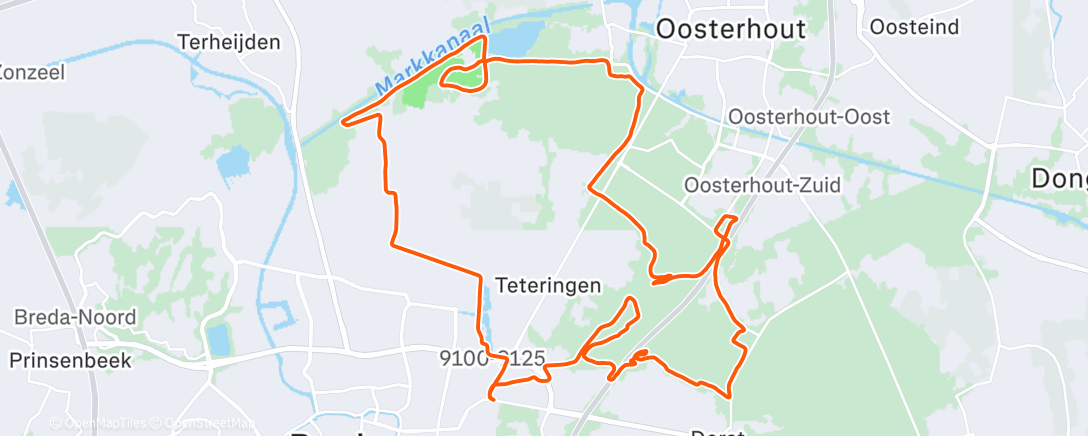 Map of the activity, 🌞🌳