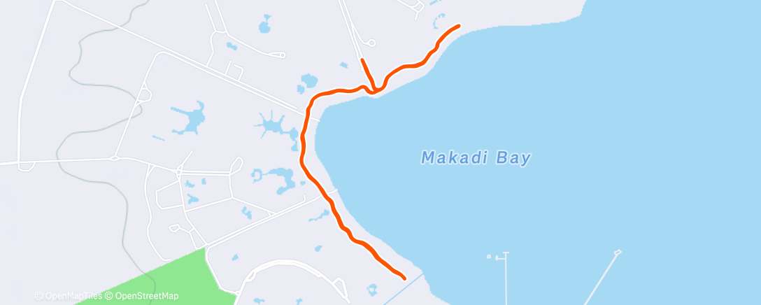 Map of the activity, Non ho capito se è più autoctono l’abete sulla spiaggia che le palme sparse ovunque. | LATO A