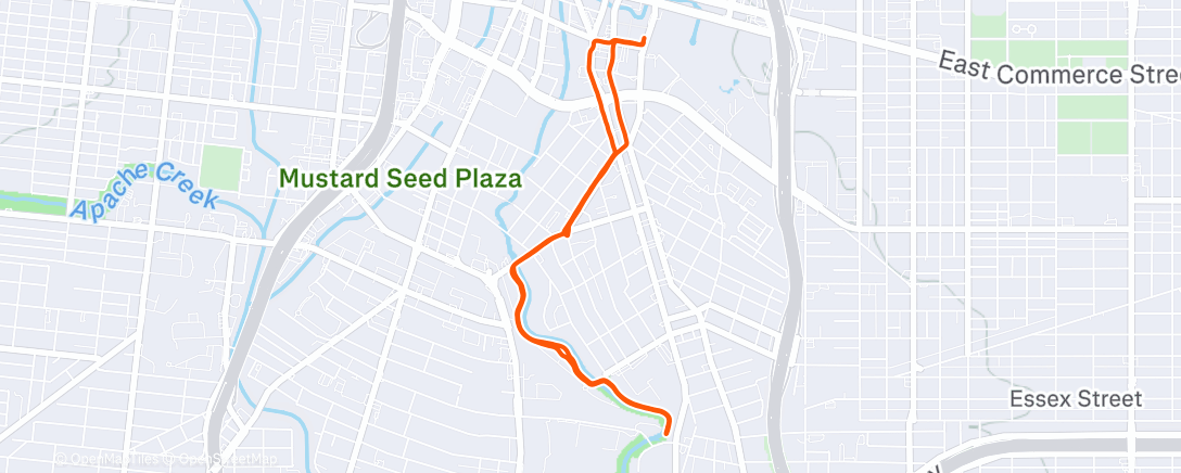 Map of the activity, Morning Run