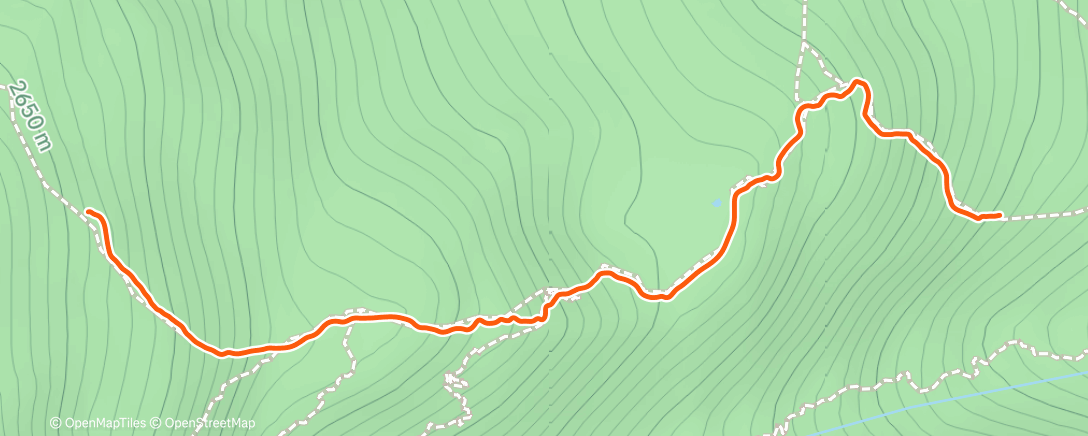 Карта физической активности (Lap 1 | Threshold day)