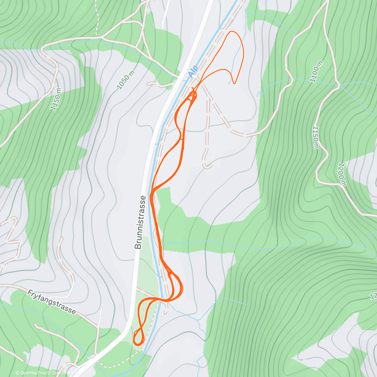 Карта физической активности (Ski Nordisch am Nachmittag)