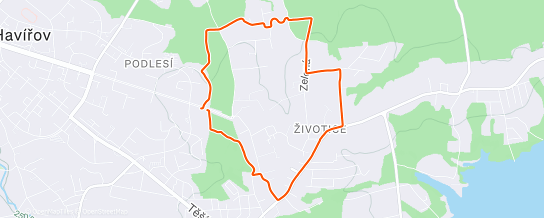 Map of the activity, Morning Run