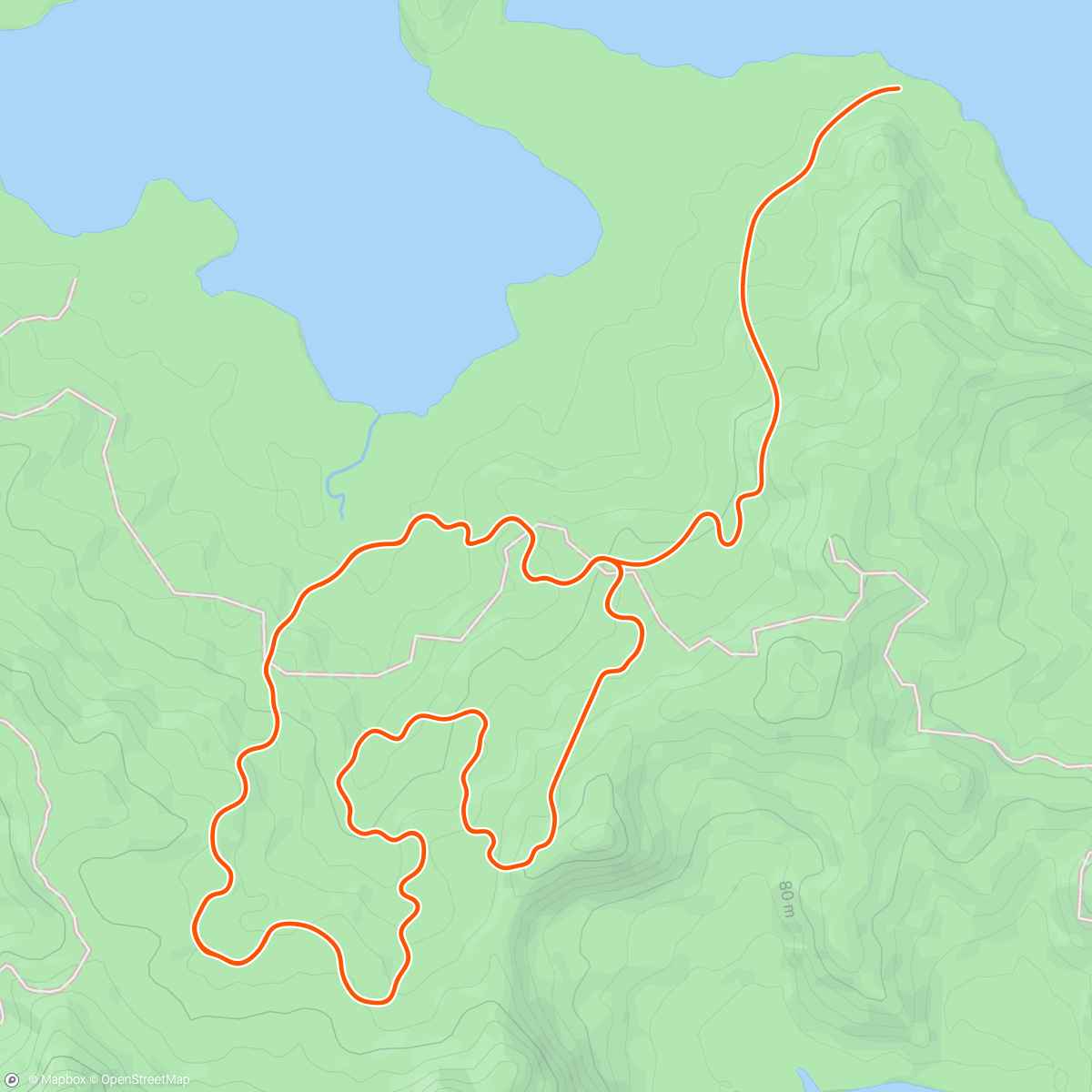 Map of the activity, Zwift - Recovery Ride on Jungle Circuit in Watopia