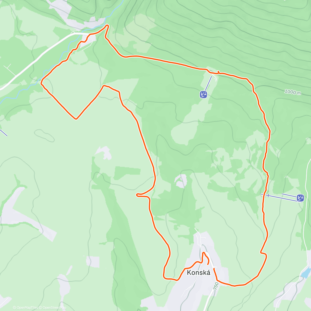 Карта физической активности (Morning Trail Run ☠️)