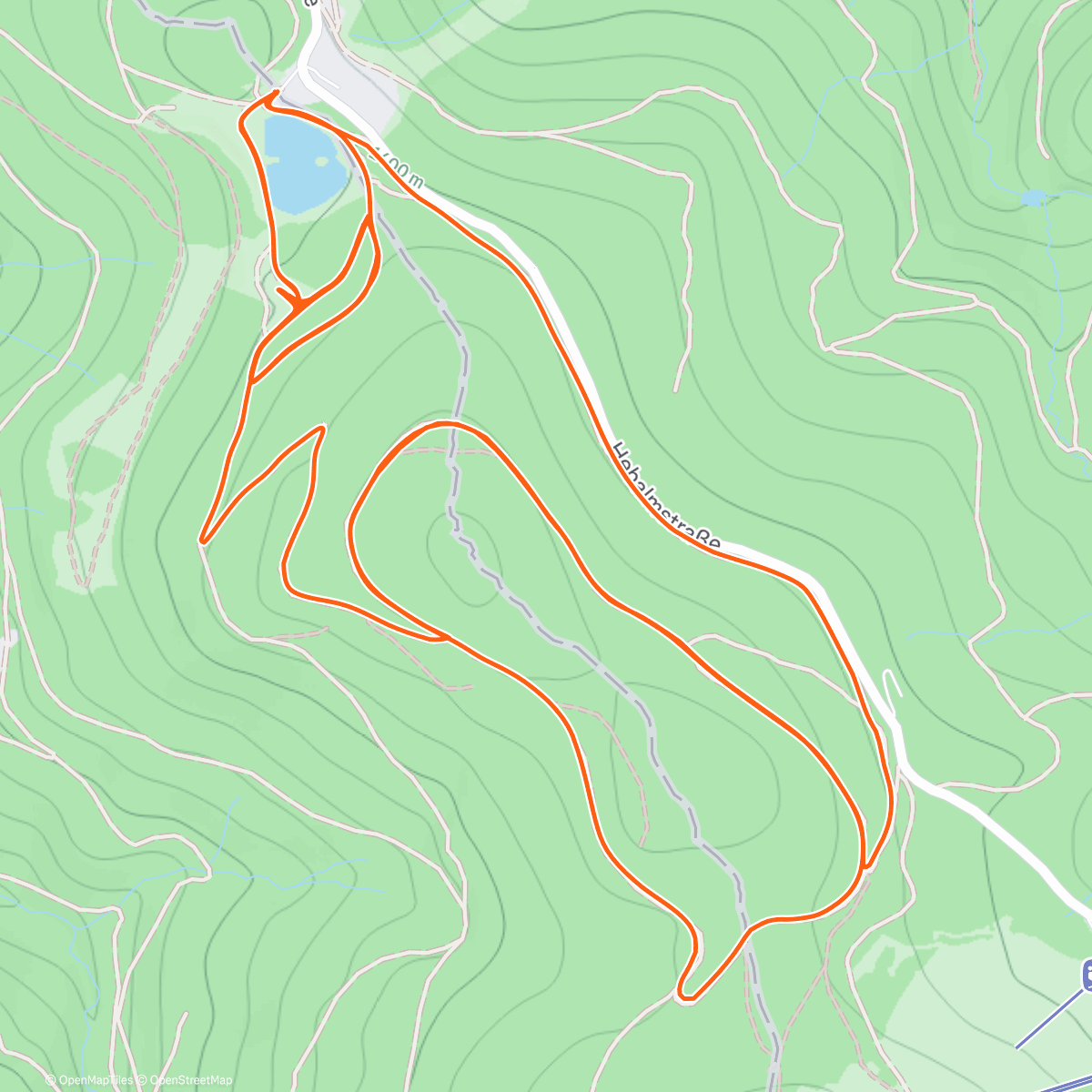 Карта физической активности (Ski Nordisch am Morgen)