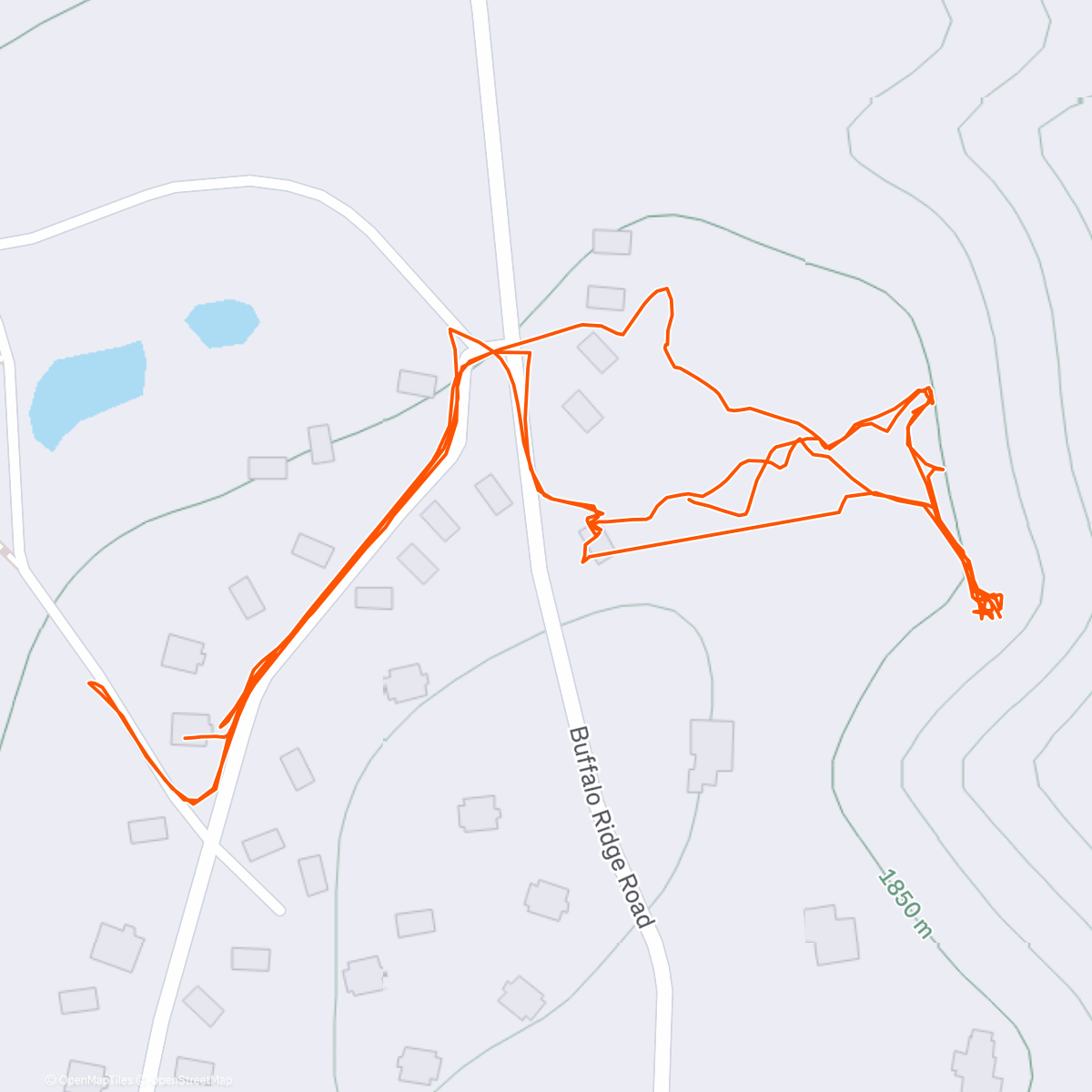 Карта физической активности (Morning Walk)