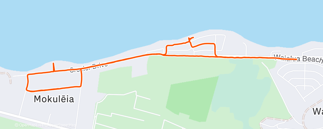 Map of the activity, Morning Run