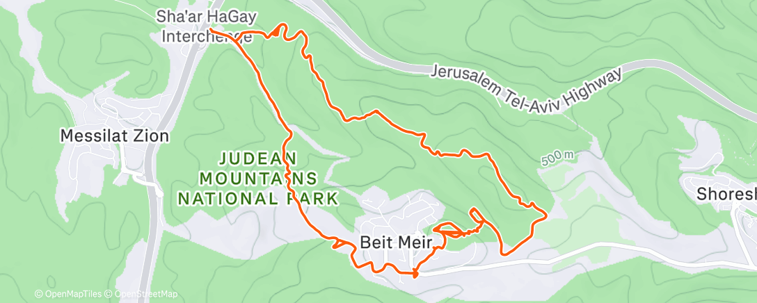 Map of the activity, Morning Trail Run