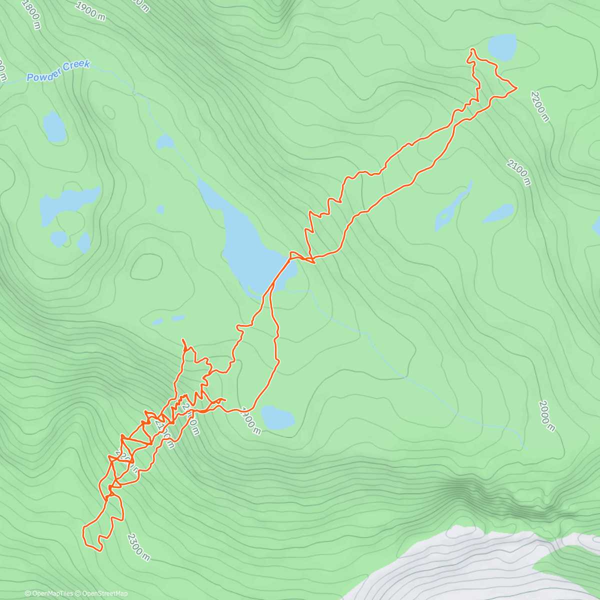 Mappa dell'attività NYE
