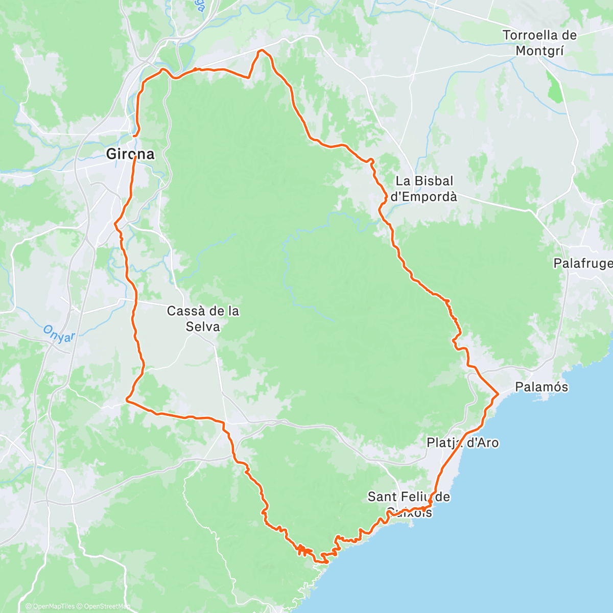 Map of the activity, Content day