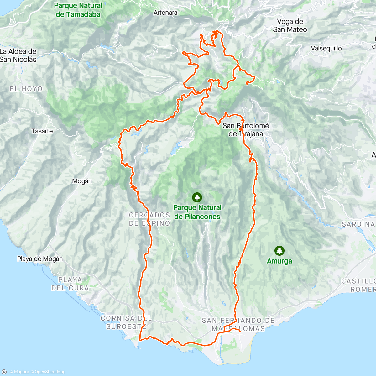 Map of the activity, Tejeda Pico  🚲☀️🌴🥳