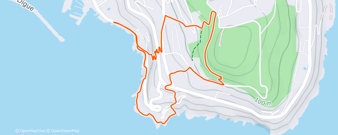 Mappa dell'attività Afternoon Trail Run