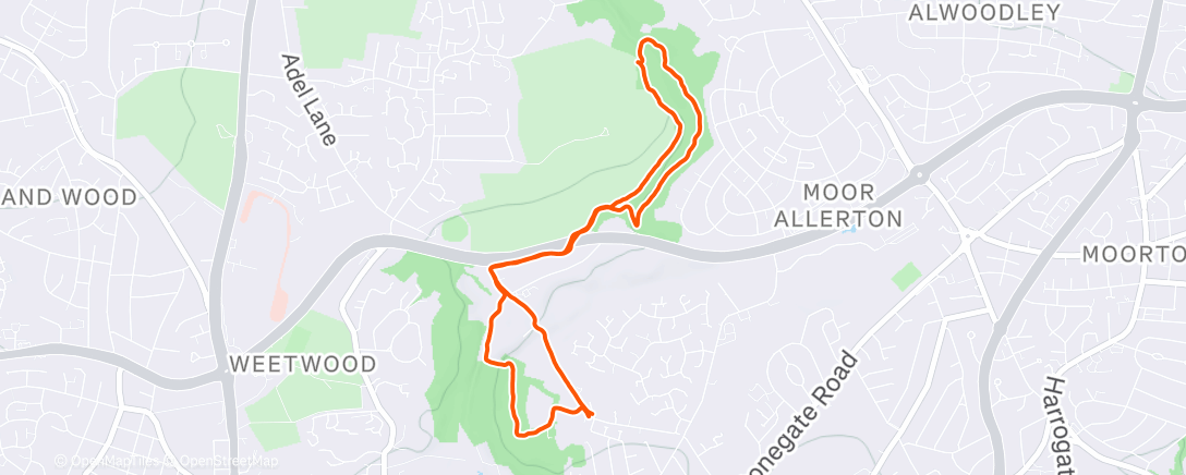 Карта физической активности (Morning Hike)