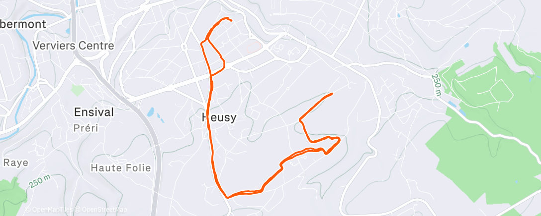 Map of the activity, Verviers - Volume 10K