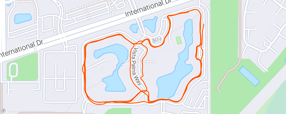 Map of the activity, Tough run, after eating and walking a lot for past 2 days...