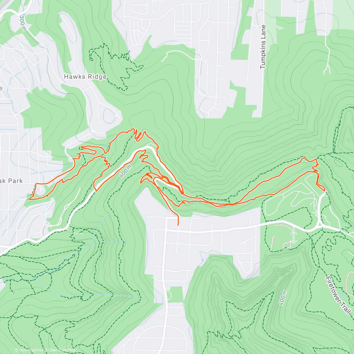 Карта физической активности (Spider-ants & Charlie Brown’s Christmas Tree 🐜🎄)
