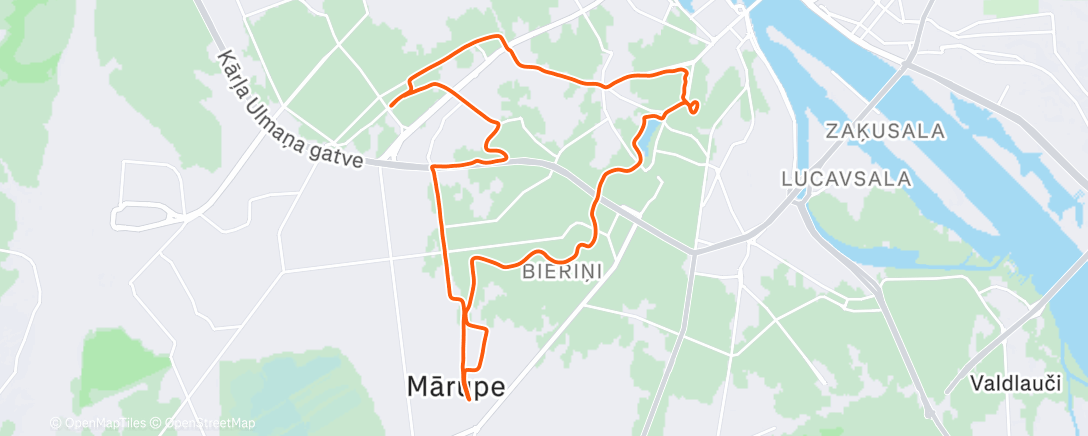 Карта физической активности (twenty one pilots - Chlorine)