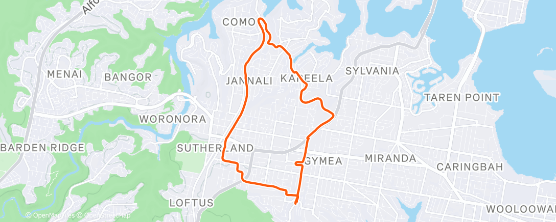 Карта физической активности (Very slow reverse Como loop)