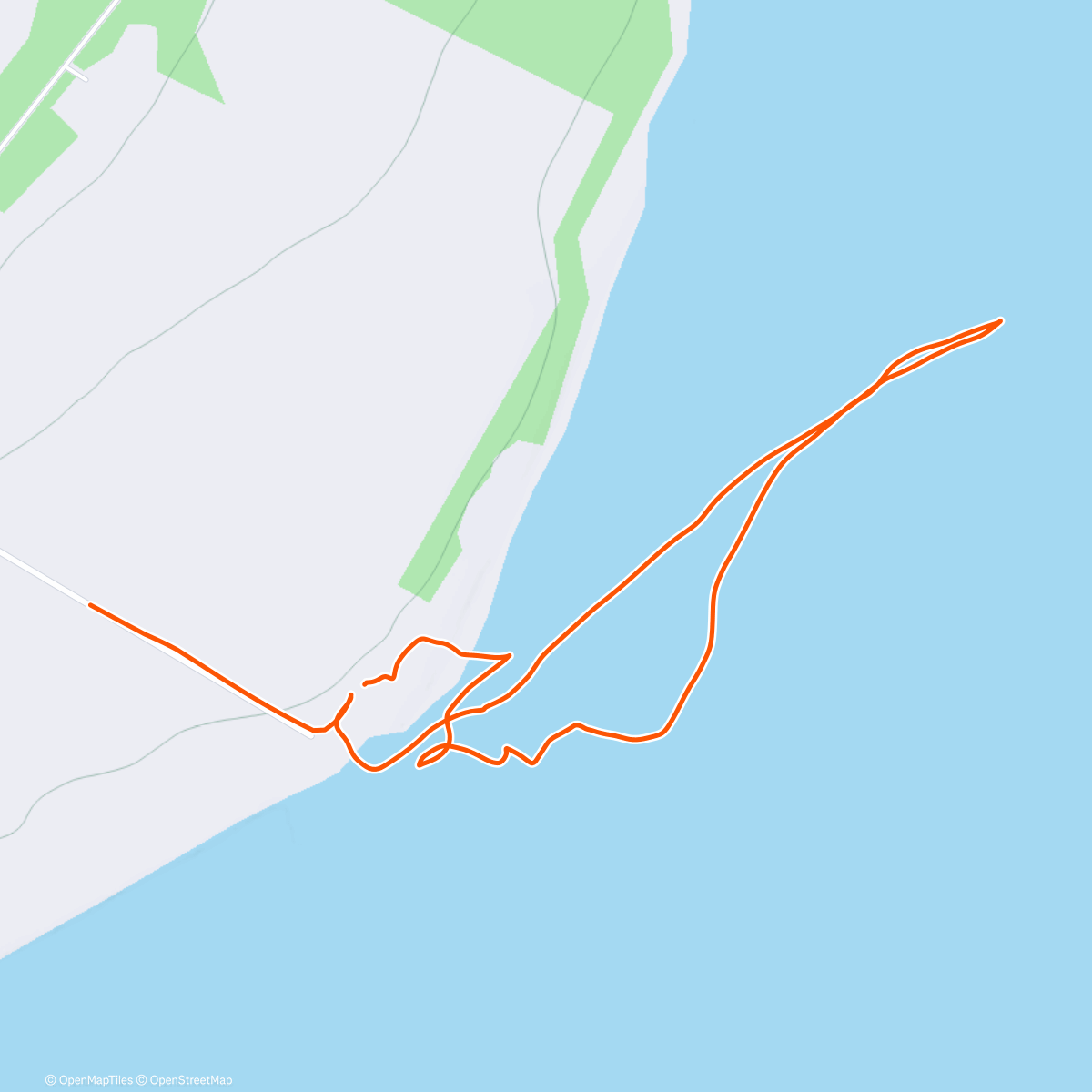 Карта физической активности (Millie birthday bumble)