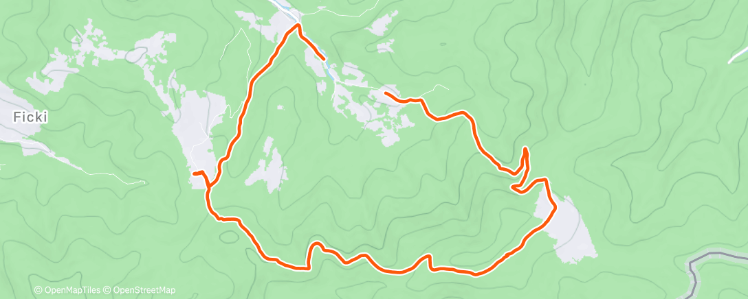 Карта физической активности (Morning Walk)