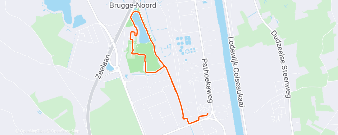 Map of the activity, 💫