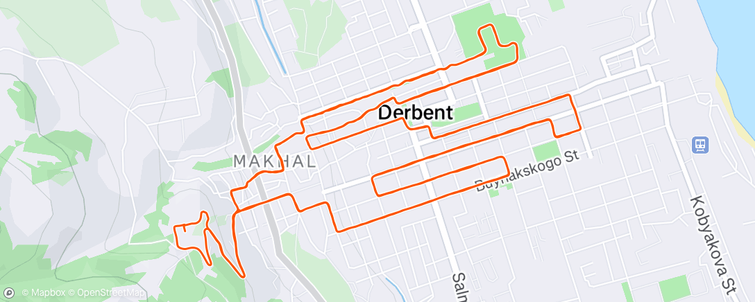 Map of the activity, Night Run