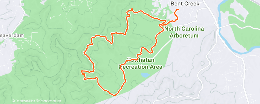 Карта физической активности (Morning Trail Run)