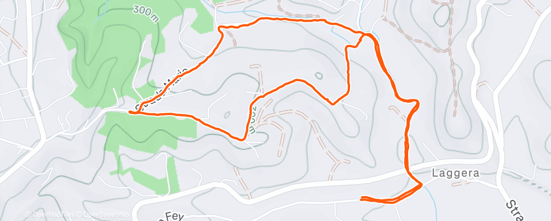 Карта физической активности (Morning Walk)