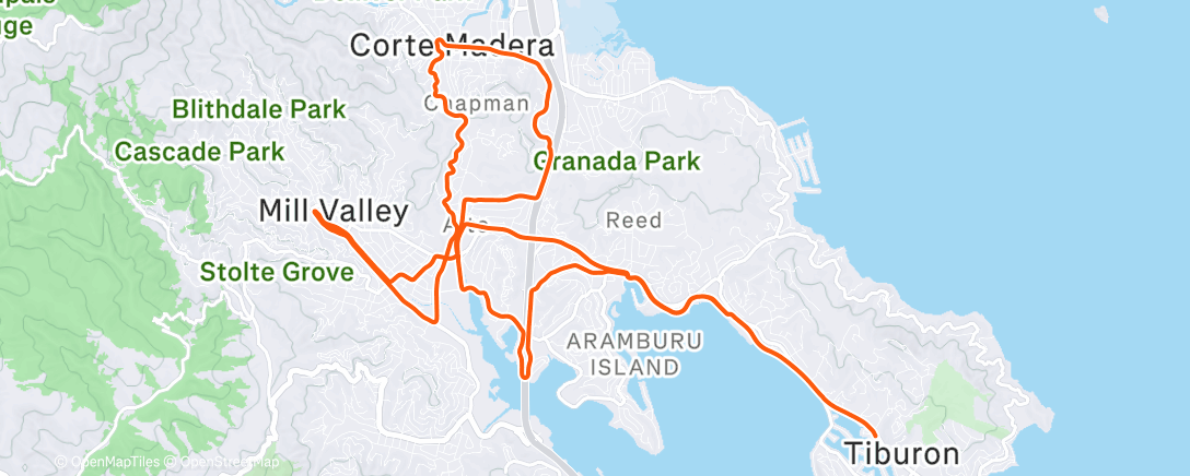 Карта физической активности (Morning Ride)