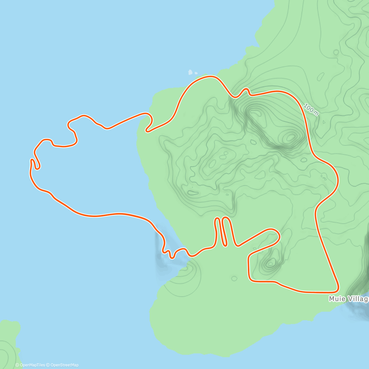 Карта физической активности (Zwift - Volcano Flat in Watopia)