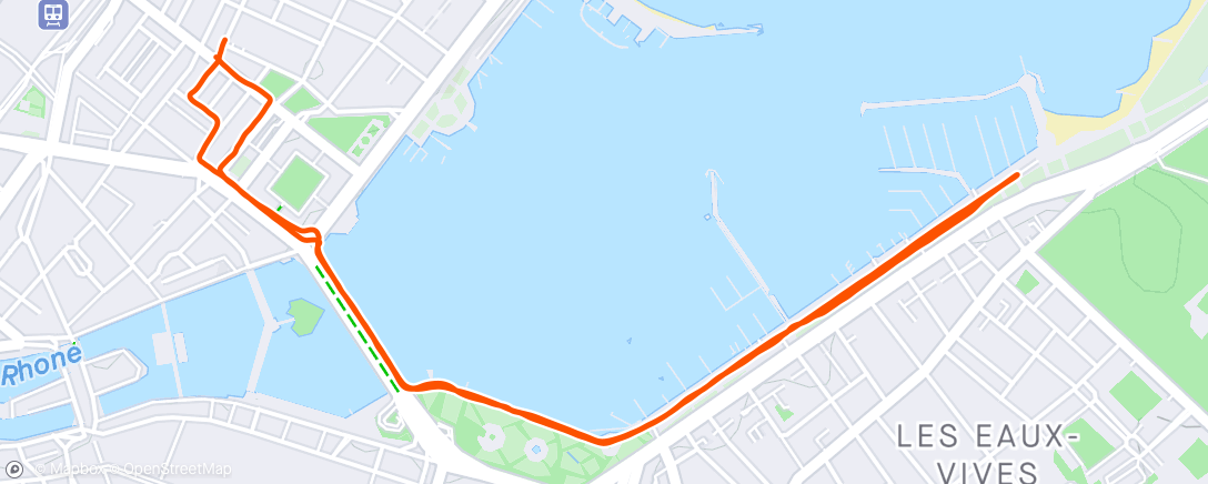 Mappa dell'attività Geneva