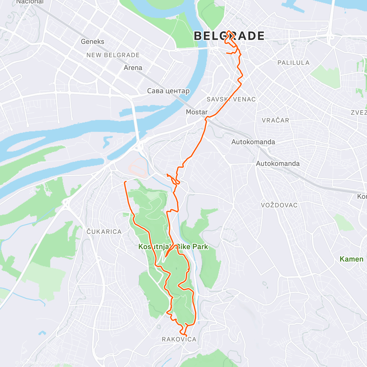 Карта физической активности (Трейлраннинг (утро))