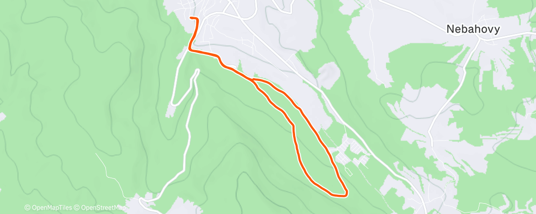 Карта физической активности (Morning Run)