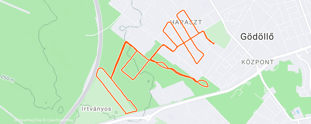 Map of the activity, Morning Run