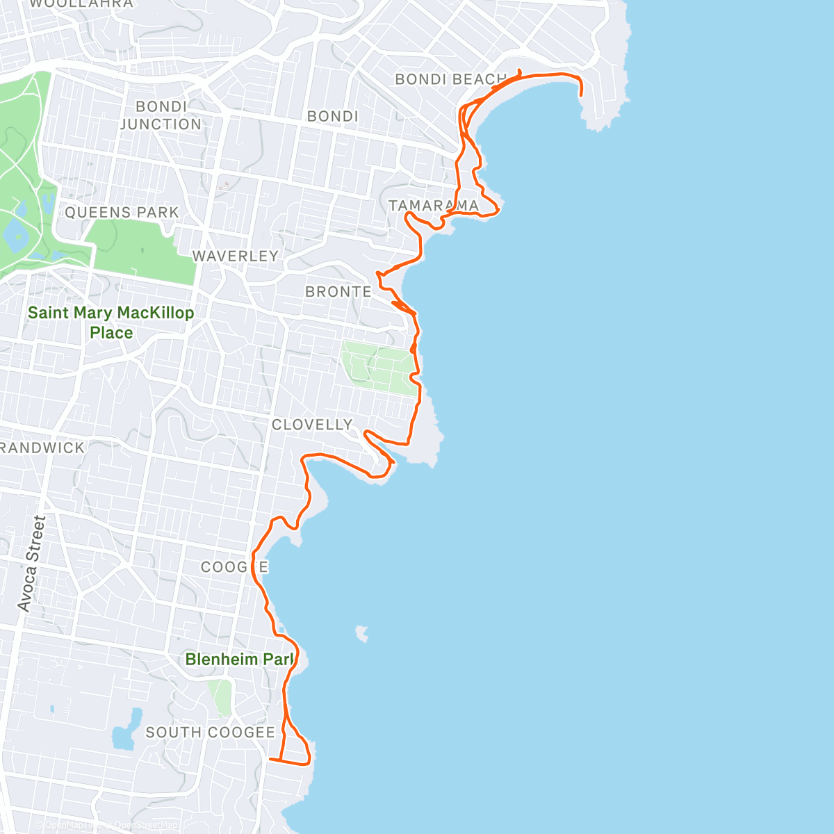 Карта физической активности (Bona Bondi Half Marathon type)