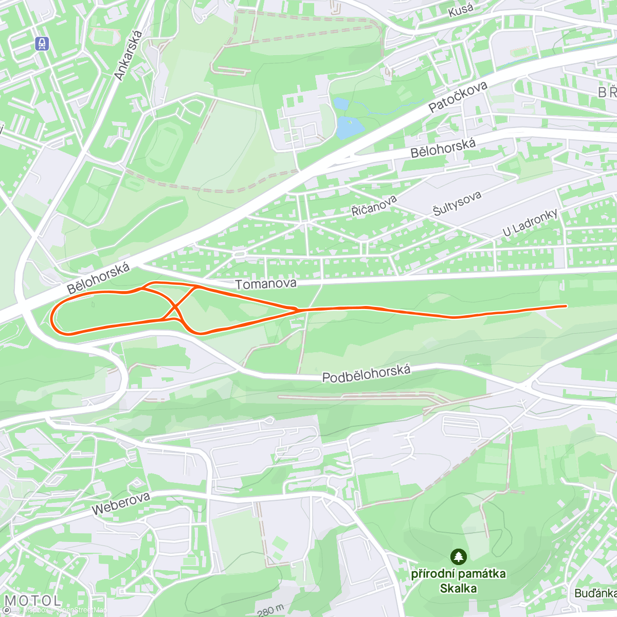 Carte de l'activité Night Run