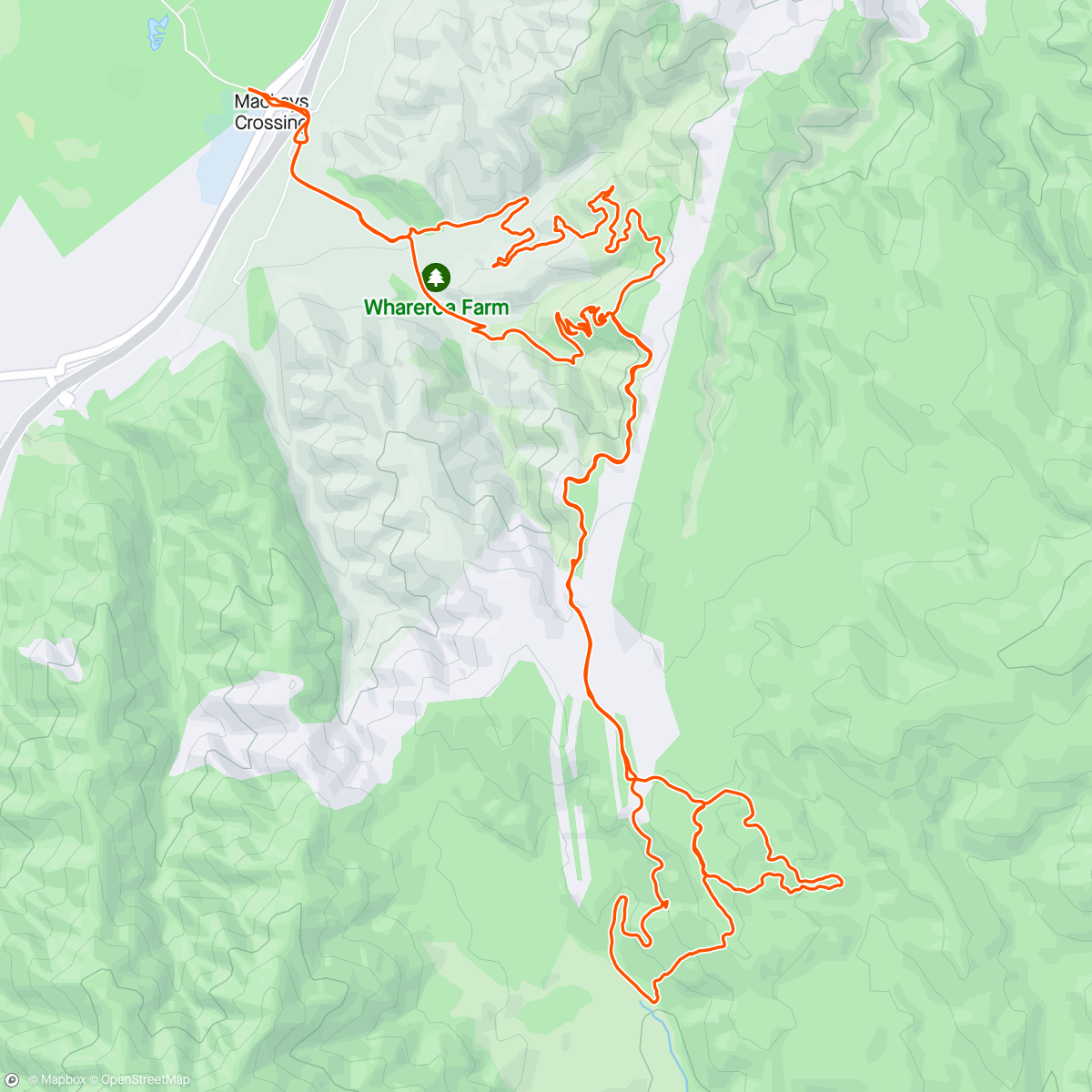 Map of the activity, Surprised Anna with some rideable jungle. Who knew! 🤣