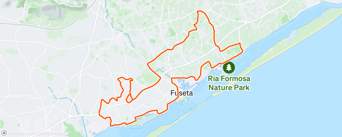 Map of the activity, Morning Ride