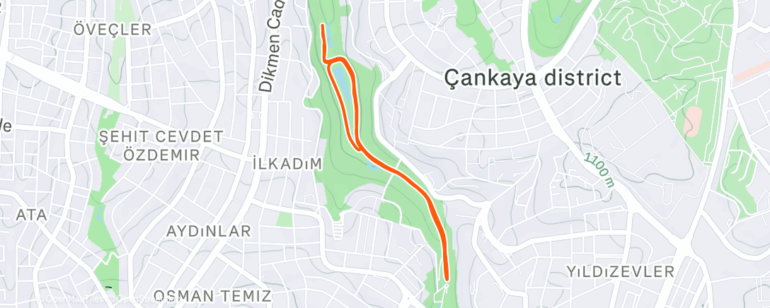 Map of the activity, Evening Run