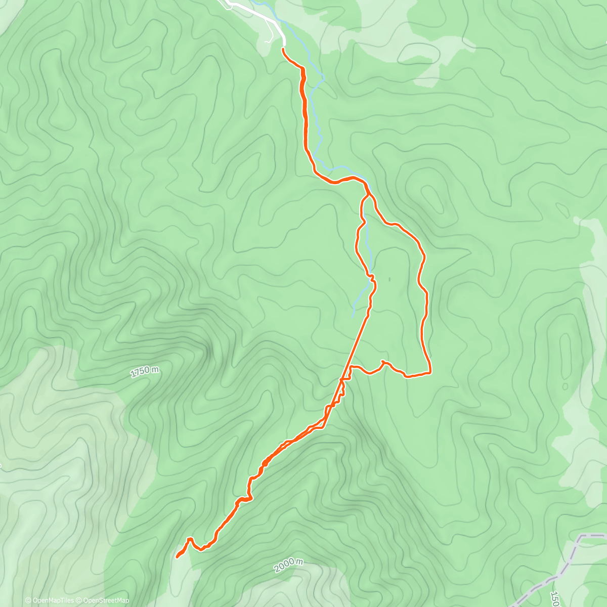 Карта физической активности (Malaiesti Trail Run)