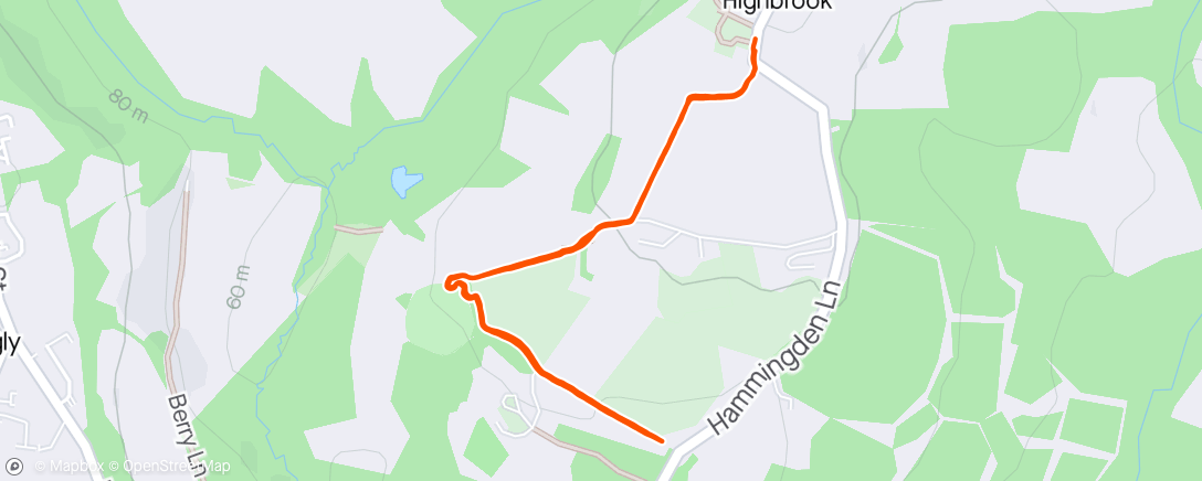 Mapa da atividade, Morning walk