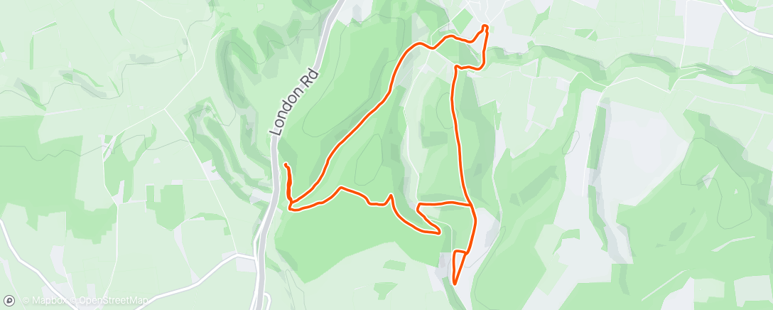 Map of the activity, Run with dog
