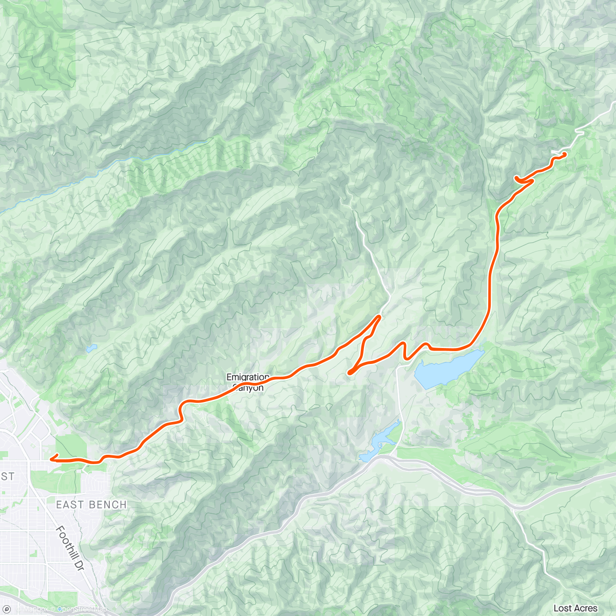 Map of the activity, Emigration to Big Summit, almost clear to the top