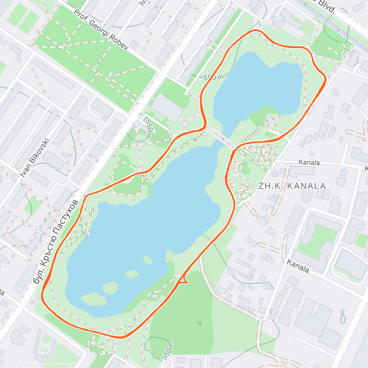 Карта физической активности (Monday Evening Run)