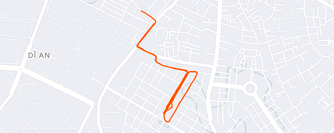 Map of the activity, Morning Run