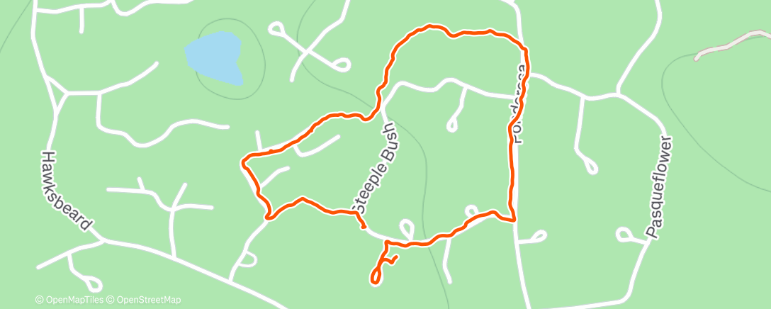 Map of the activity, Bird Watching Walk